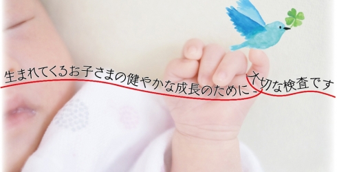 一般社団法人 IBUKI