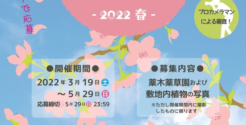 薬木薬草園フォトコンテスト～2022春～